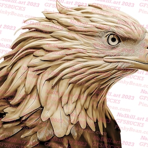 Laser Burn PNG | 3D Illusion | Engrave | Laser Ready | Digital Design File | Eagle | USA | Patriotic