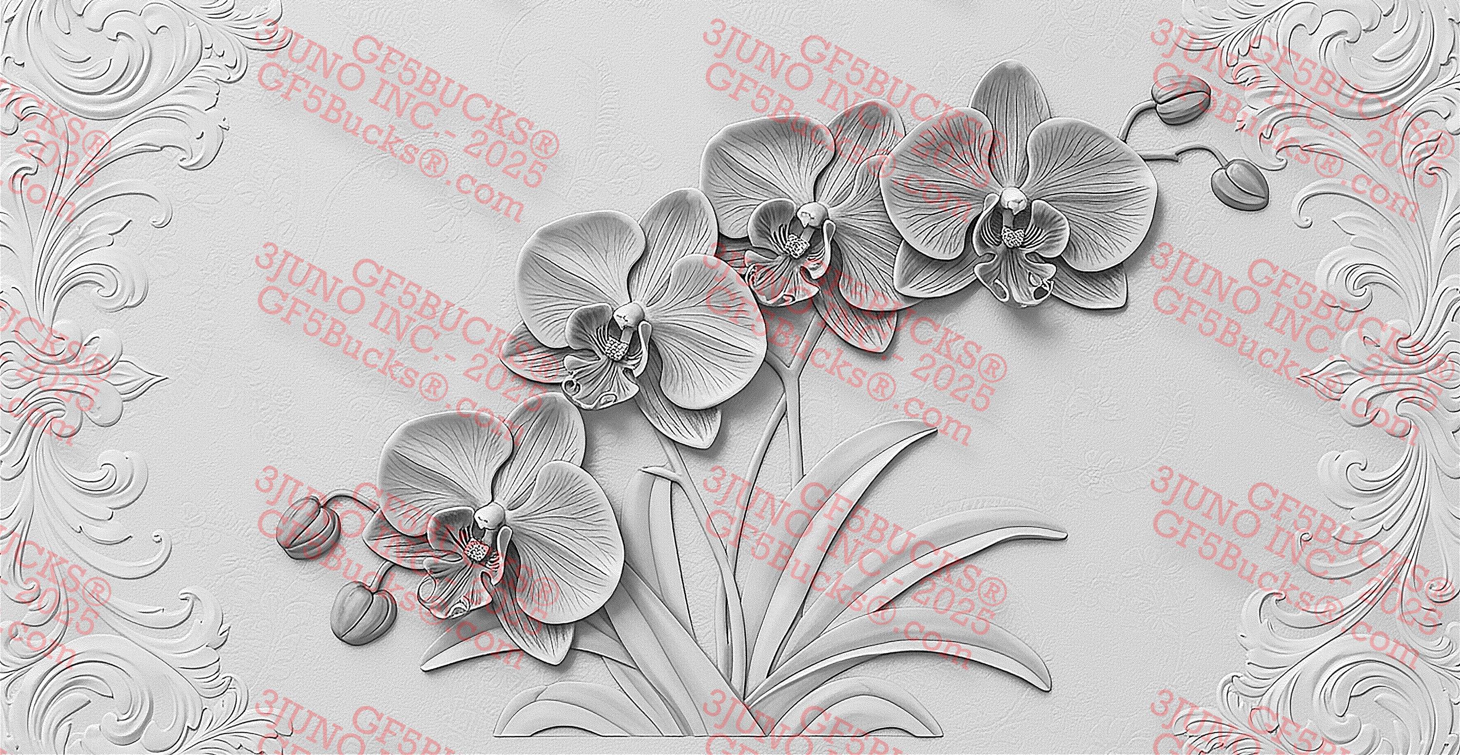 Orchid Flowers 3D Illusion Laser Engraving PNG (14x7in) – Gf5bucks