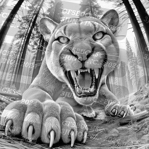 May include: A black and white image of a mountain lion with its mouth open and teeth showing. The lion is in a forest setting with tall trees in the background. The lion's paw is in the foreground, with sharp claws visible.