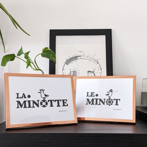 Le Minot / La Minotte
