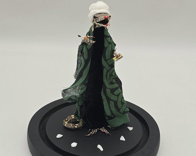 Red Factor Snake Mummified Monitor Izard Taxidermy Tarot Fortune Teller Rat Snake ...
