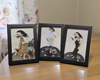 May include: Three framed art prints featuring anthropomorphic reptiles in various outfits. One wears a leopard print dress, another a white coat, and the third a black dress. Each print is in a black frame.