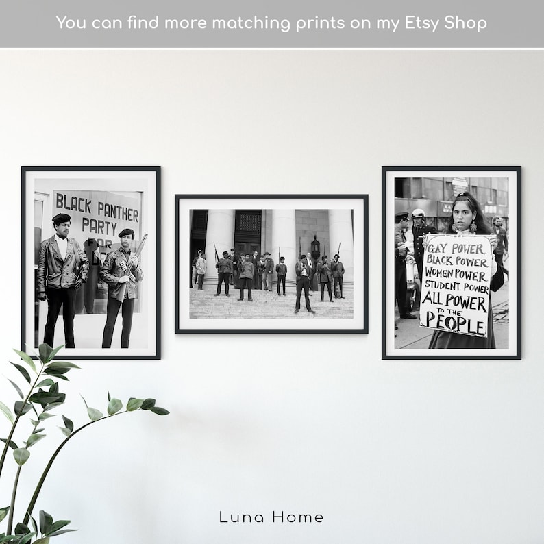 May include: Three framed black and white prints. The left print features the text "BLACK PANTHER PARTY" and two people. The middle print shows a group of people. The right print shows a person holding a sign with the text "GAY POWER, BLACK POWER, WOMEN POWER, STUDENT POWER, ALL POWER TO THE PEOPLE."