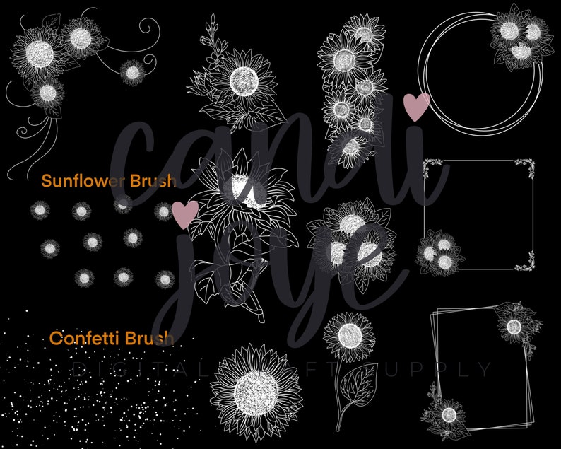 Sunflower Procreate Stamp Set - Sunflower Procreate Brushes - Sunflower ...