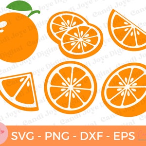 Orange SVG-Bundle - Orange Clipart - Orange Grafiken - Orange Sublimationsdateien PNG-Dateien - Zitrusschnittdateien - Obst SVG - Druckbare Orangen