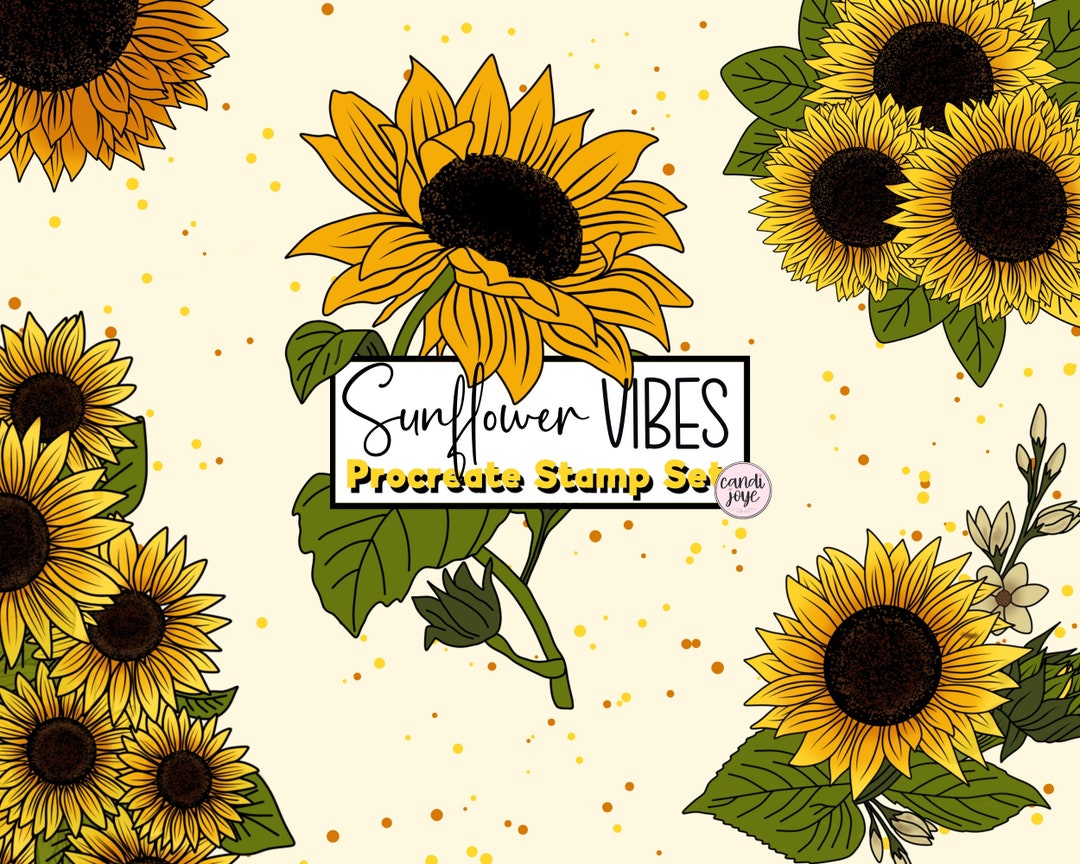 Sunflower Procreate Stamp Set Sunflower Procreate Brushes Sunflower