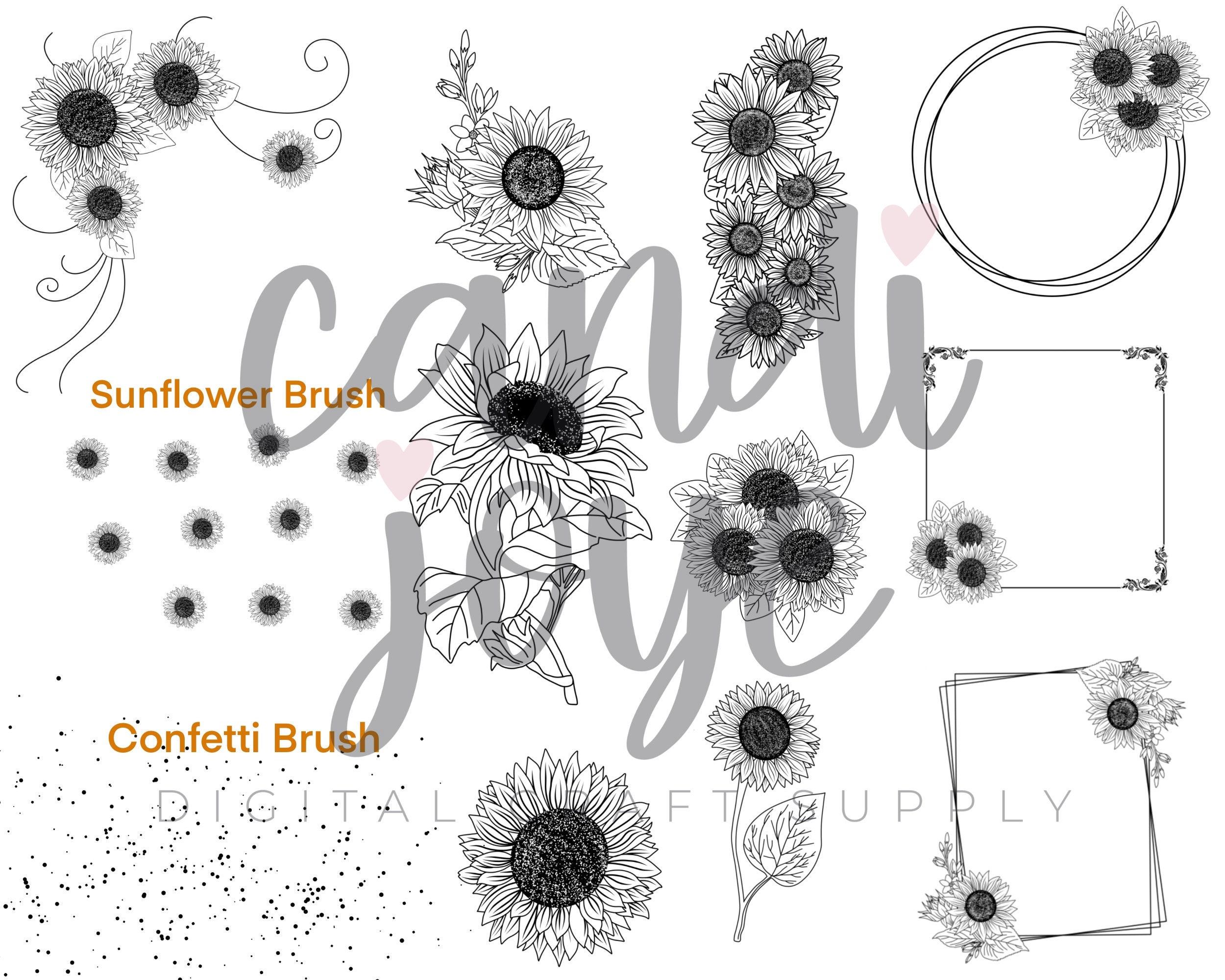 Sunflower Procreate Stamp Set - Sunflower Procreate Brushes - Sunflower ...