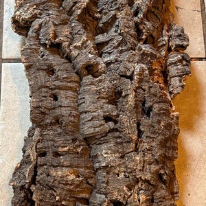 Natural Cork for mounting orchids or vivariums or pets