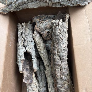 Puede incluir: Una colección de piezas de corteza de corcho natural con una textura rugosa, de color marrón grisáceo y profundamente fisurada. Los segmentos de corteza son alargados, curvos y huecos, mostrando patrones orgánicos y crestas variadas.