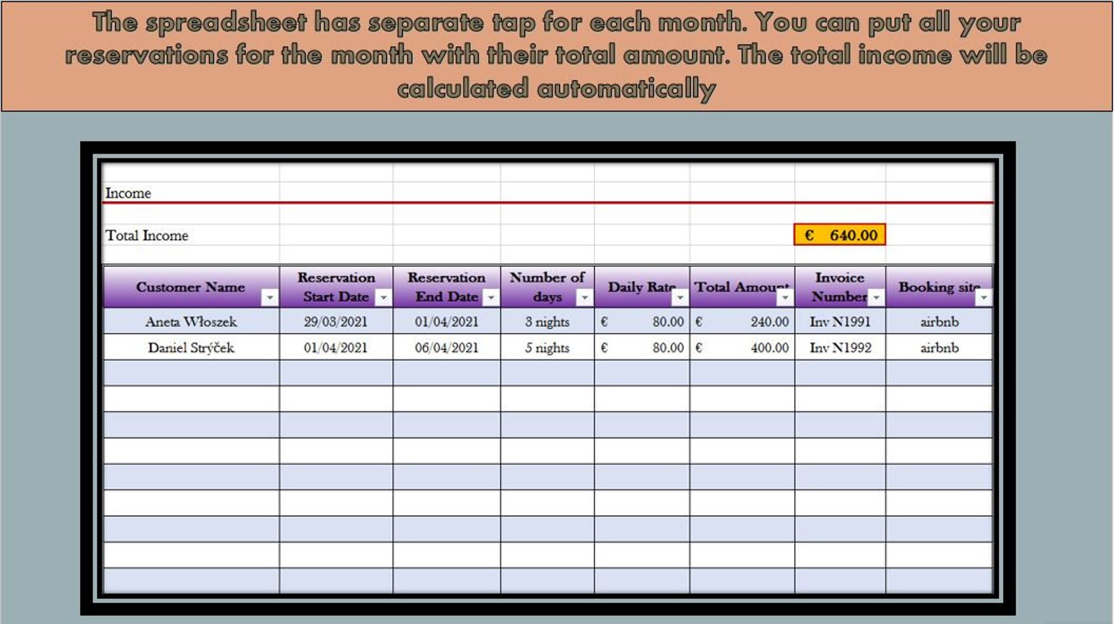 Rental and Expense Tracking Template EUR, Business Spreadsheet