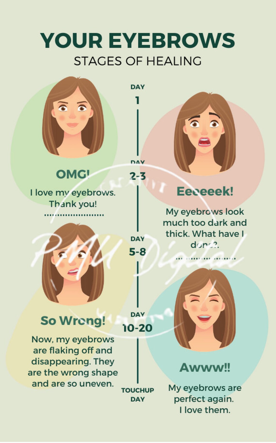 PMU Infographic Stages of Healing for Microbladed Powder Etsy España