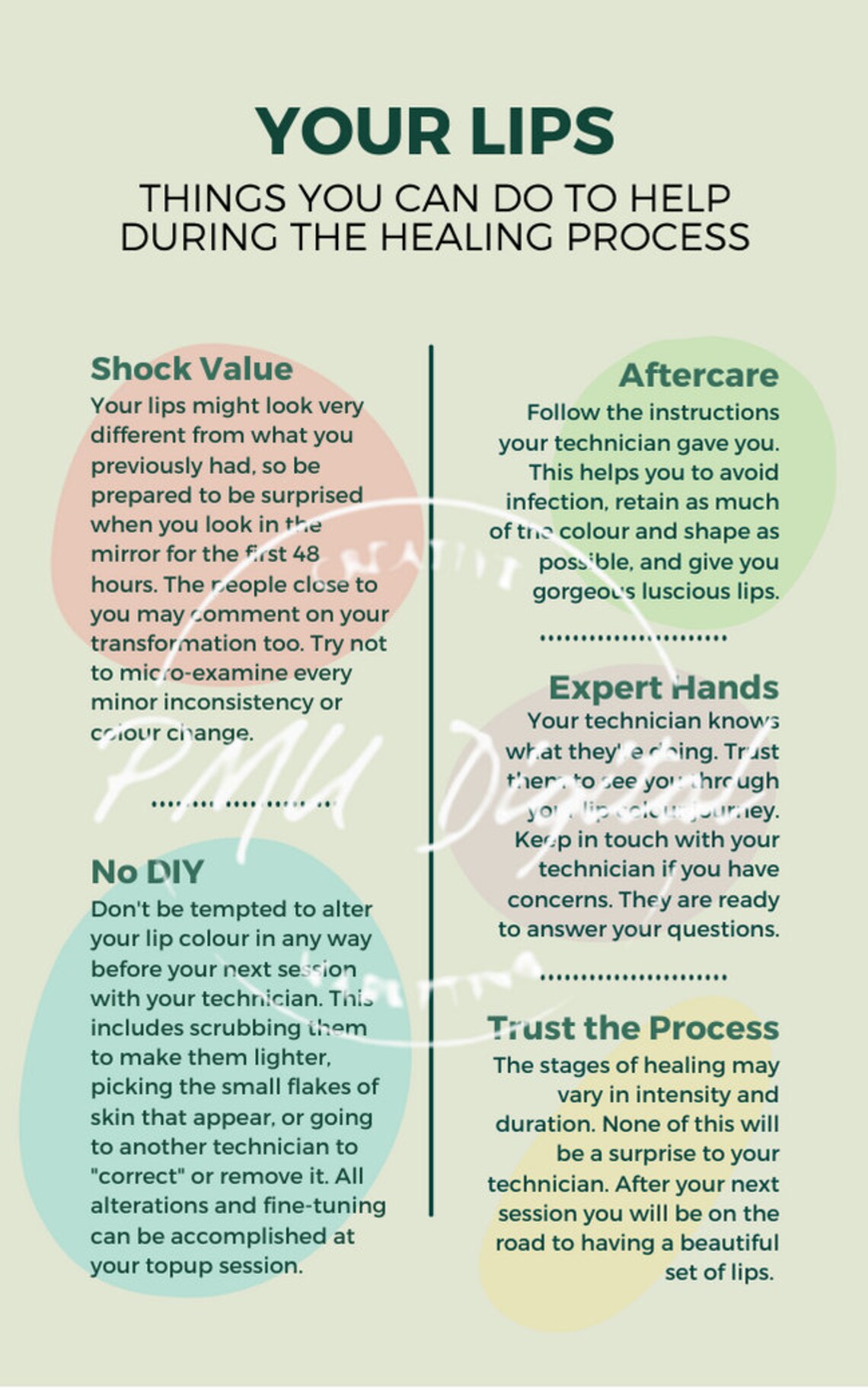 PMU Infographic Stages of Healing for Permanent Makeup Lip Etsy