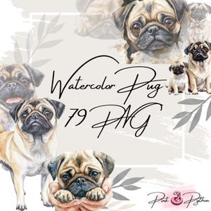 PUG Clipart, Watercolor Dog Clipart Png, Cute Pet Clipart, Pug Images, Cute Dog Graphics, Pug Puppy Clipart, Instant Digital Download