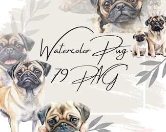 Watercolor Pug Clipart, Dog Images (Instant Digital Download)