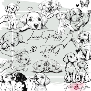 Clipart di cuccioli lineart, bundle di clipart di cani, PNG di cani line art, clipart di animali domestici, clipart di libri per bambini, clipart in bianco e nero, stampa di t-shirt PNG