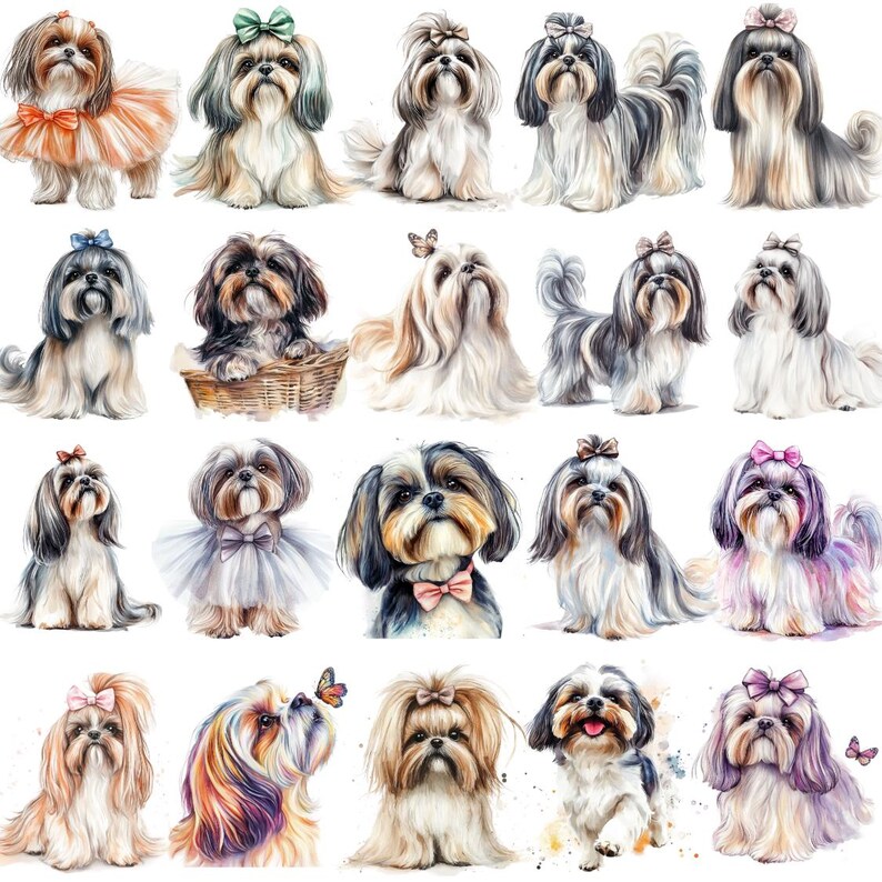 Shih Tzu Watercolor Clipart: Dog Breed PNG (digital Download, 4096x4096 ...