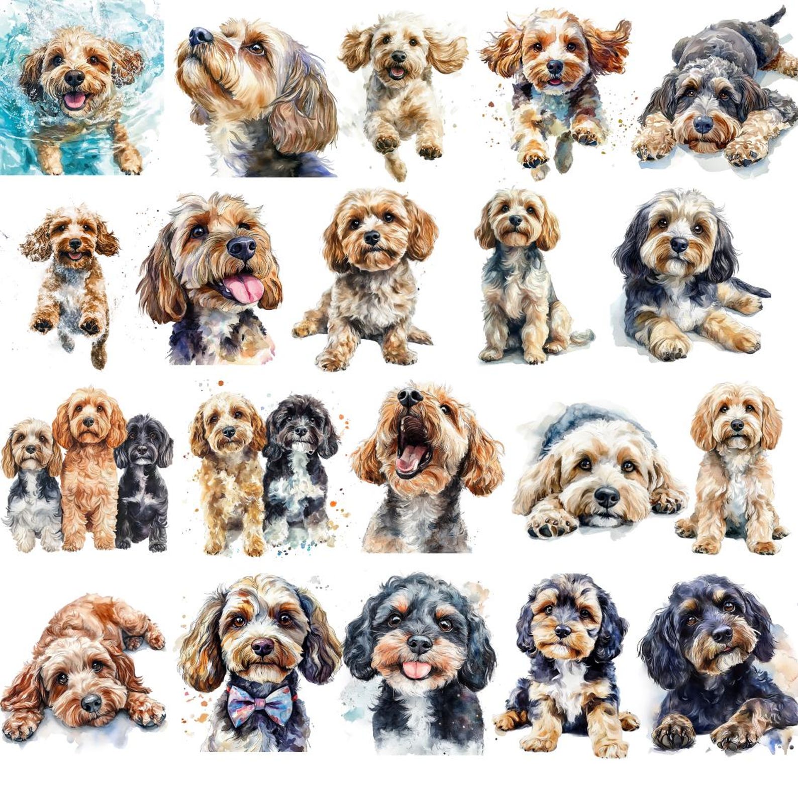 Watercolor Cockapoo Clipart, Cockapoo PNG, Puppies Clipart, Dog Clipart ...