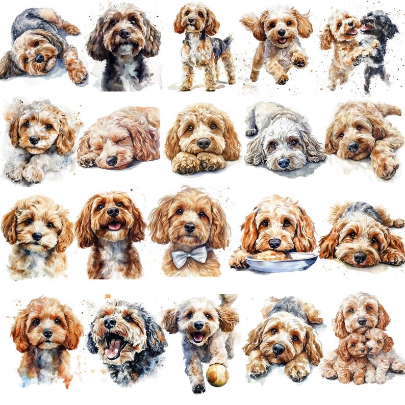 Watercolor Cockapoo Clipart, Cockapoo PNG, Puppies Clipart, Dog Clipart ...