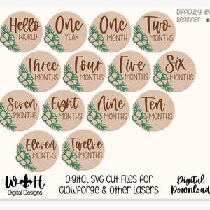 Hello World Baby Milestone Monthly Growth Markers - Personalizable Hibiscus Floral Nursery Signs - Digital SVG Cut File For Glowforge Lasers