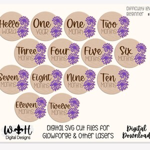Hello World Baby Milestone Monthly Growth Markers - Personalizable Black Eyed Susan Floral Nursery Sign - Digital SVG Cut File For Glowforge