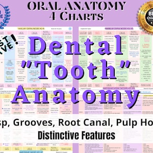 May include: Four colorful charts with the title "Oral Anatomy 4 Charts" and the text "Dental "Tooth" Anatomy" in large purple letters. The charts are divided into sections with labels like "Maxillary Central Incisors", "Mandibular Central Incisors", "Maxillary Lateral Incisors", and "Mandibular Lateral Incisors". Each section has a table with information about the location, roots, and other features of the teeth. The bottom of the image has the text "Cusp, Grooves, Root Canal, Pulp Horns Distinctive Features".