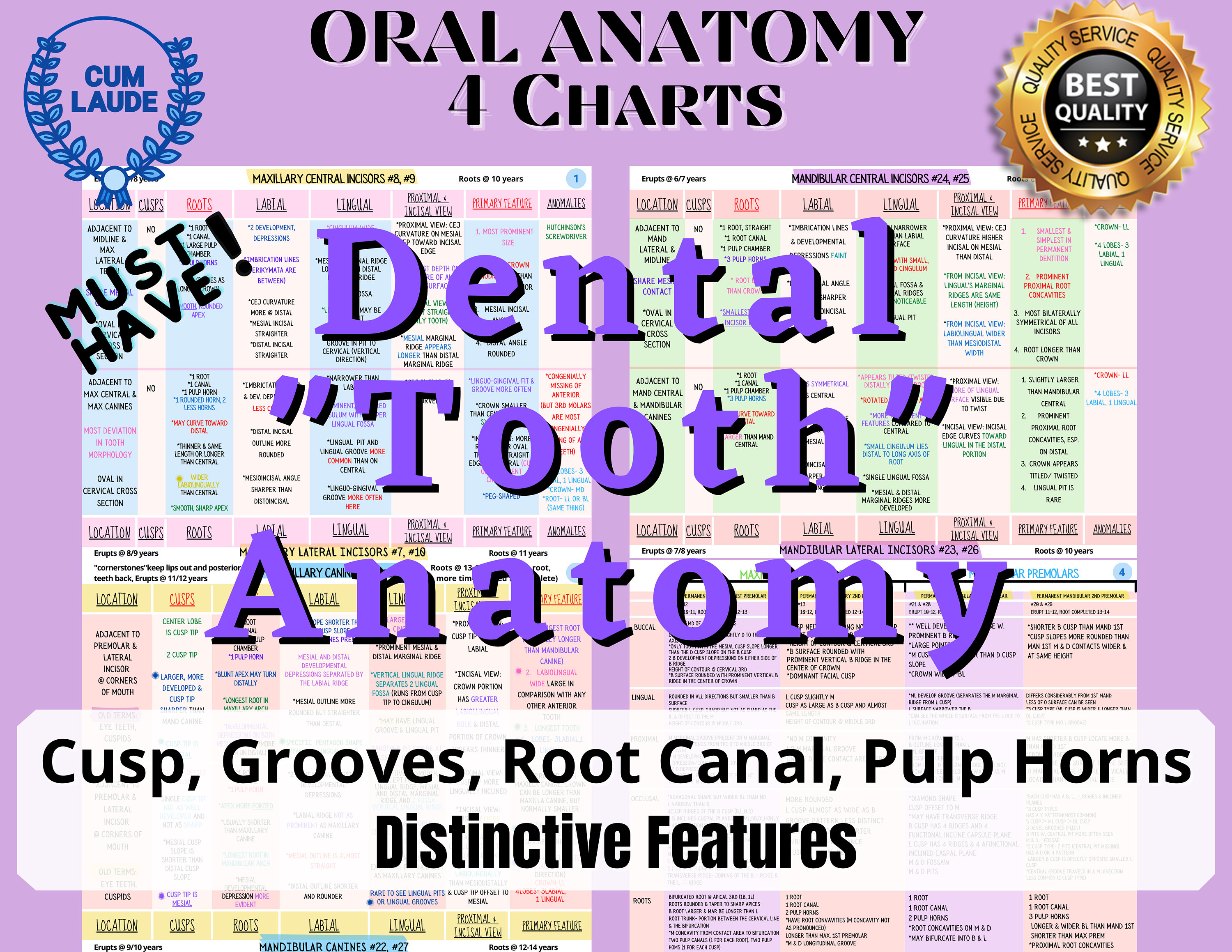 Itero Dental Scanner for sale 121 ads for used Itero Dental Scanners