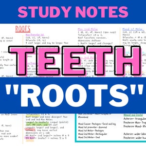 TEETH &quot;ROOTS&quot; need to know!