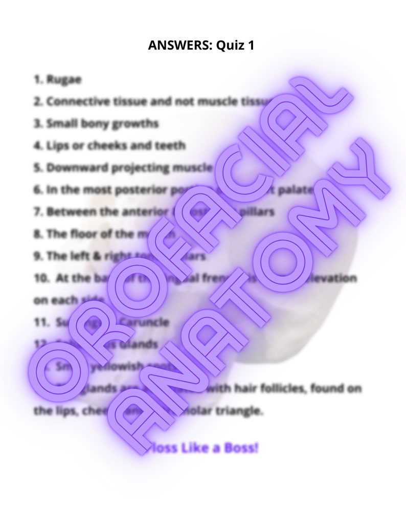 Orofacial Anatomy, head and Neck Anatomy Practice Quizzes, Tests