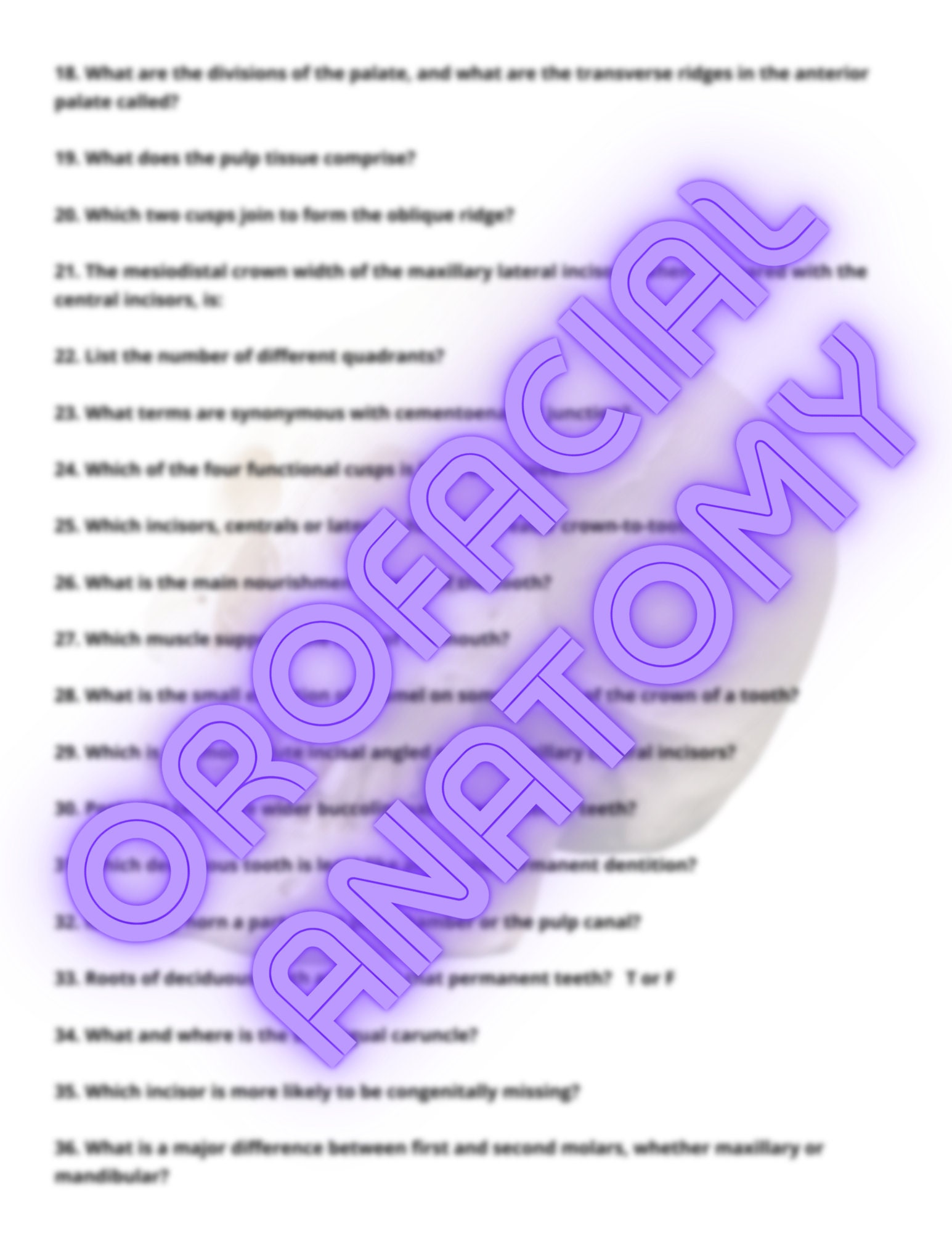 Orofacial Anatomy, head and Neck Anatomy Practice Quizzes, Tests & Answers Etsy