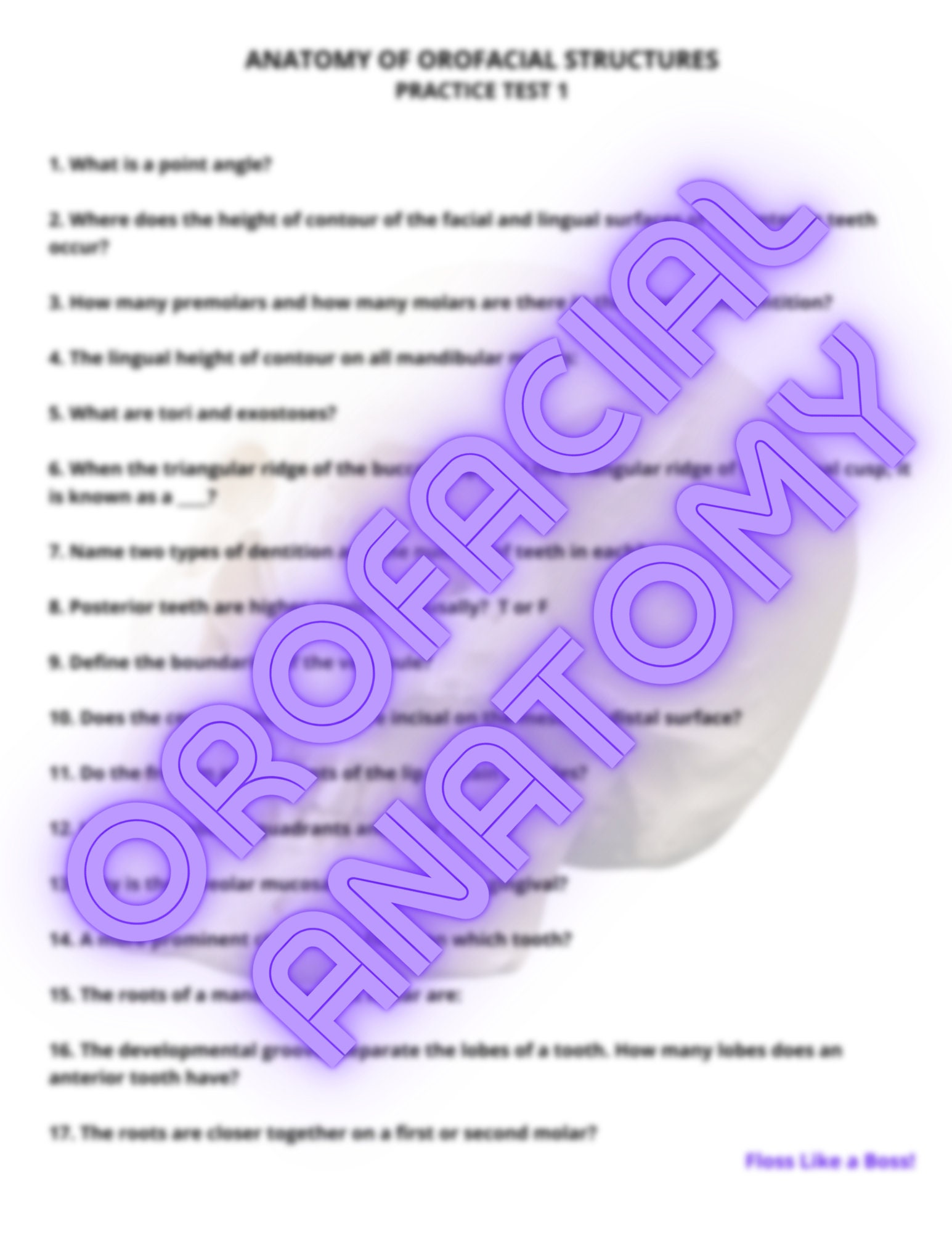 Orofacial Anatomy, head and Neck Anatomy Practice Quizzes, Tests & Answers Etsy