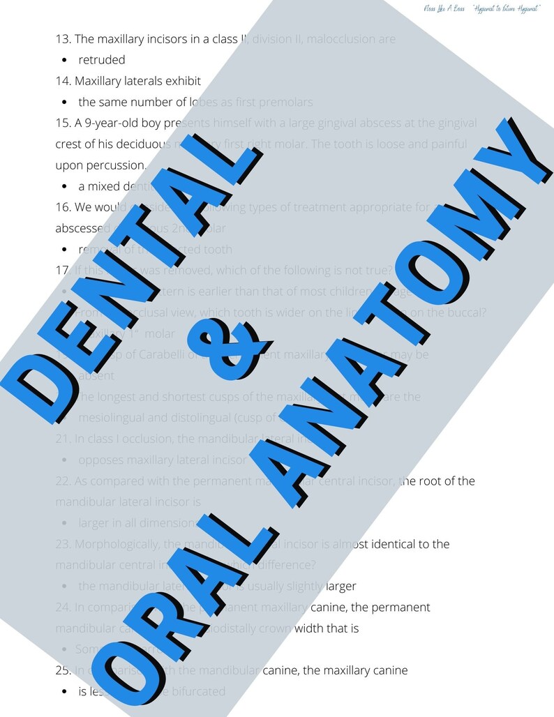 Dental & Oral Anatomy distinctive Features Unit Test Etsy