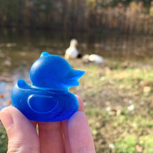 Duck soaps