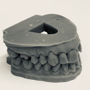 Make Your Own Models! See, How Does Your Teeth Look Like In Memory.