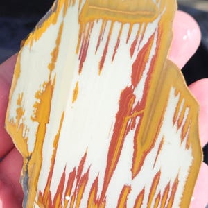 Owyhee Picture Jasper Slab