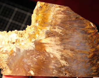 Sagenite Agate Slab