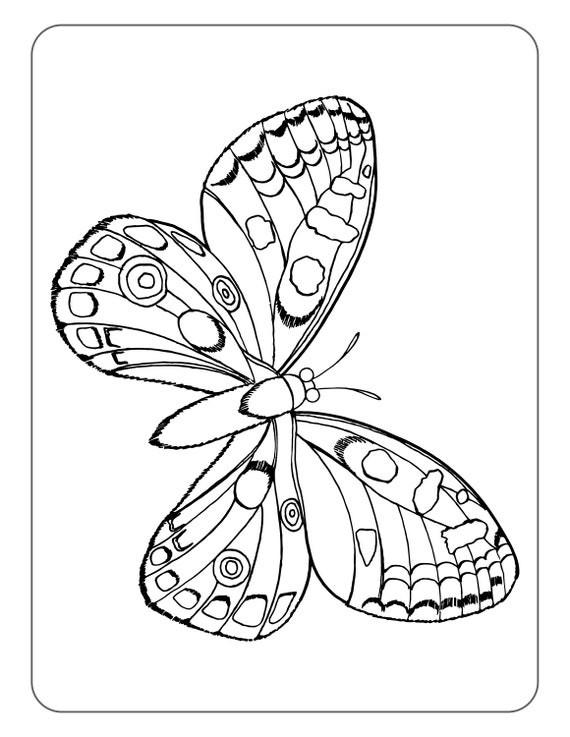 Butterfly Coloring Pages | Etsy