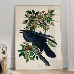 Vintage Crow Print - Raven Wall Art, Vintage Bird Prints, Bird Decor, Bird Wall Art, Crow Lover Gift, Moody Wall Art