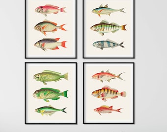 Set di 4 stampe di pesci vintage - Arte murale costiera nautica, decorazione della vita marina
