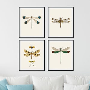 Vintage Dragonfly Print Set: Natural History Gallery Wall Art