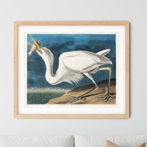 Vintage Great White Heron Print - Heron Wall Art, Sea Bird Print, Audubon Prints, Birds of America, Farmhouse Decor, Ornithology Art