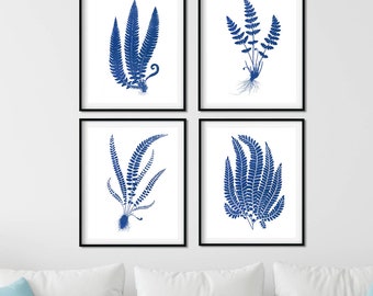 Láminas de acuarela de helechos azules: decoración botánica de granja (juego de 4)
