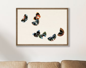 Vintage Butterfly Print - Farmhouse Wall Decor, Natural History Art