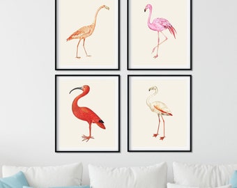 Flamingo Prints Set of 4 - Vintage Tropical Bird Wall Art
