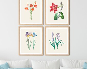 4er Set botanische Drucke - Vintage Blumen Wandkunst