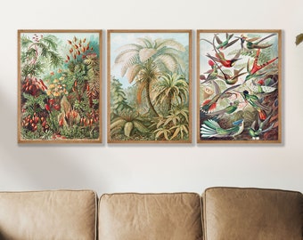 Vintage Ernst Haeckel Botanical Prints Set of 3 - Biology Poster, Ernst Haeckel Poster, Science Photo Poster Wall Art Gift Giclée