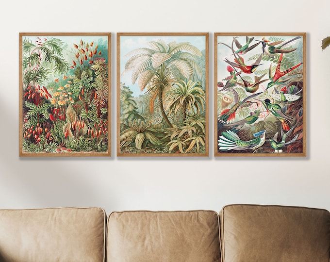 Ernst Haeckel Botanical Prints Set of 3 - Fine Art Biology Posters, Vintage Bird Art