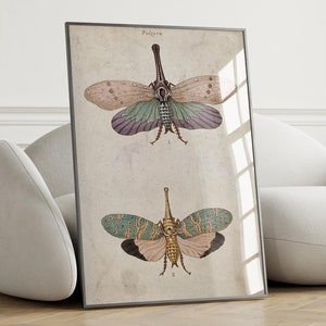 Vintage Dragonfly Poster - Dragonfly Wall Art, Canvas Dragonfly, Gallery Wall Art, Beach House Decor, Natural History Art