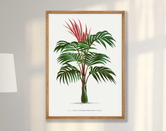 Vintage Palm Tree Print No5: Tropical Botanical Wall Art