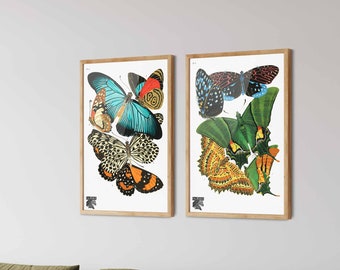 Vintage Butterfly Prints Set of 2 - Butterfly Posters, Natural History Wall Art
