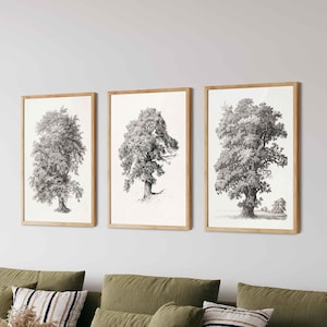 Vintage Baumdrucke 3er-Set - Walddruck, Waldwanddekor, botanische Kunst, Bauernhauswandkunst-Set, Baumskizzendrucke, Naturwandkunst,